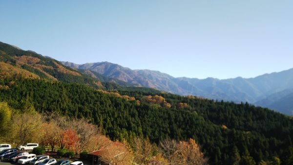 中津川の紅葉1