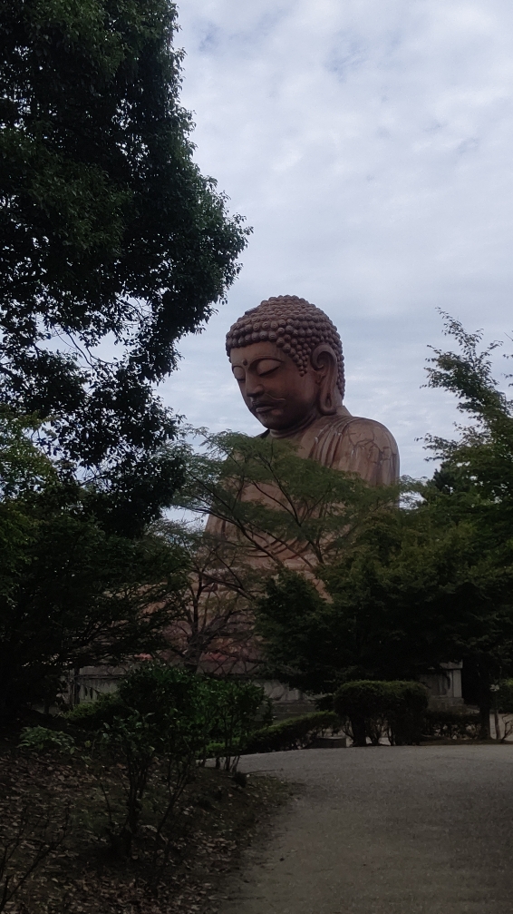 東海市 聚楽園公園の大仏さま1