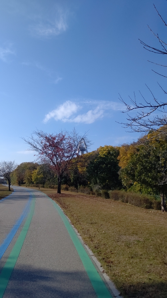 一宮市 ツインアーチ 紅葉