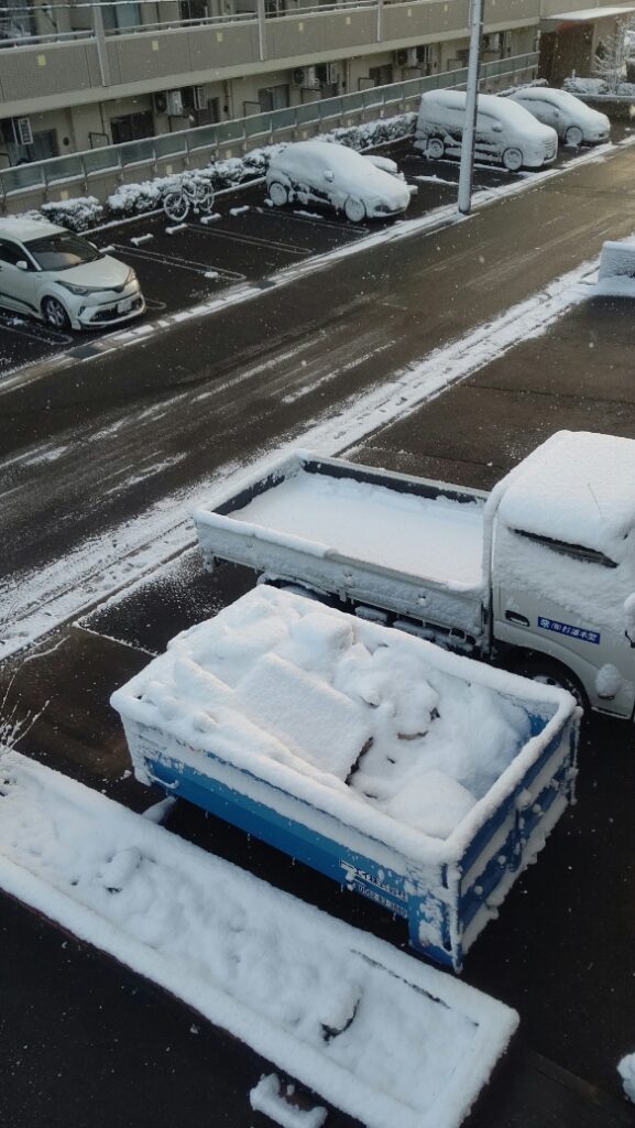 半田市 雪の日