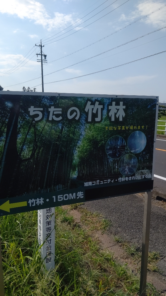 ちたの竹林