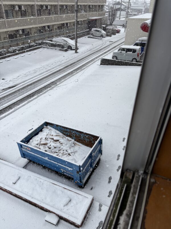 2025年2月8日(土) 雪の日