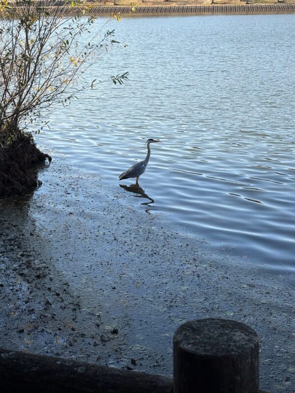 洲原公園-1 251207